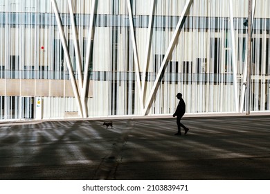 Shadowy Silhouette Of A Man Walking A Dog With A White Building Behind It