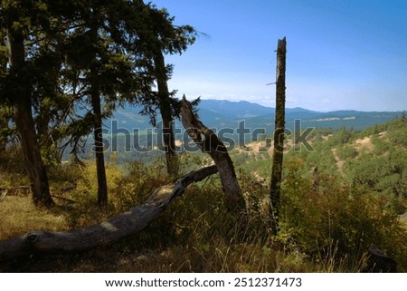 Shady perch with bare trees in a rolling mountain area. 