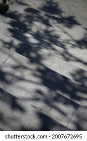 Shady Portrait Of Sandstone Stairs With Tree Shadow