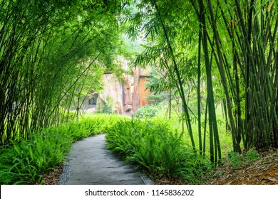 Shady stone walkway among ferns and green bamboo trees in park. - Powered by Shutterstock