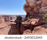 Shafer Canyon Overlook in the Island in the Sky Portion of Canyonlands National Park near Moab Utah