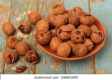 Shagbark Hickory Nuts