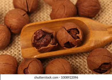 Shagbark Hickory Nuts