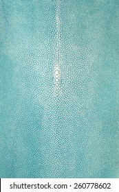 Shagreen 