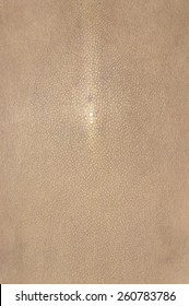 Shagreen