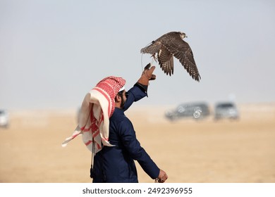 Shaheen, Falcon, Arab, bird, hunter - Powered by Shutterstock