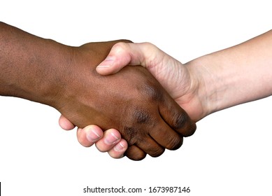 Shaking Hands As A Sign Of Friendship, Hand In White And Black