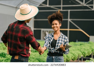 Shaking hands, Young friends smart farmer gardening, checking quality together in the salad hydroponic garden greenhouse, working together. - Powered by Shutterstock