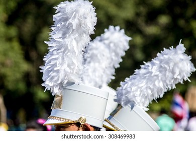 Shako Militaries