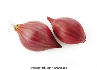 Shallot Onion Isolated On White Background