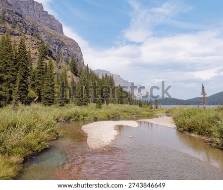 Shallow clear stream flowing through lush green meadows and pine forests offering a peaceful wilderness retreat at Glacier National Park, Montana, USA