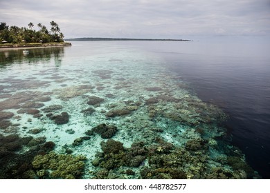 A shallow coral reef drops precipitously into the depths in Wakatobi National Park, Indonesia. This remote area harbors an extraordinary amount of marine biodiversity.