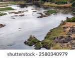  Shallow Crocodile River in Kruger National Park, Mpumalanga Province, South Africa. Crocodiles rest on the shore.