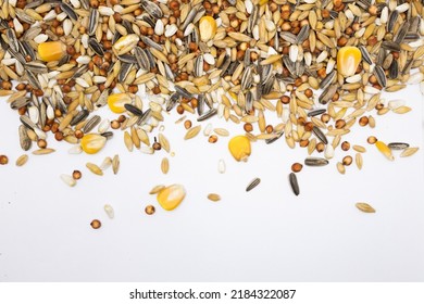 Shallow Depth Of Field Bird Seed On A White Background