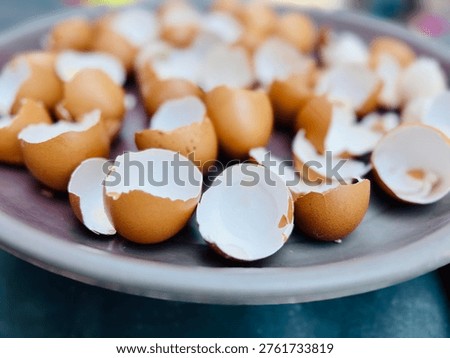 Shallow depth of field perspective of a grey tray filled with cracked brown eggshells, with the foreground shells in sharp focus.