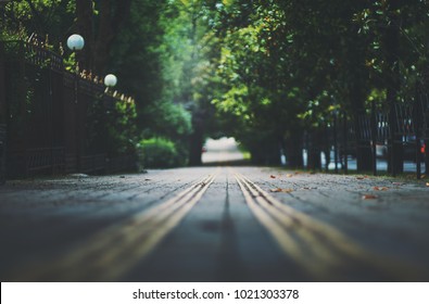 Shallow Depth Of Field Photo Shooting Of Park Walkway With Guide Tactile Paving Tiles For Blind People Stretching Into Distant Vanishing Point; Dark Path In City Alley With Bright Exit In The End