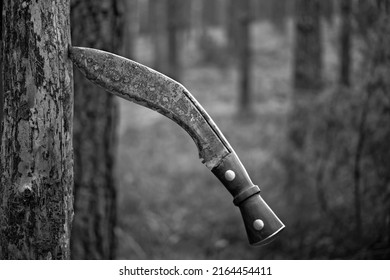 Shallow DOF close-up of patinated Kukri knife stabbed in tree trunk (BW version)