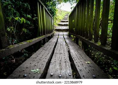 Shallow Focus Of Nearby Metal Nails In A Slippery Wooden Walkway In A Forest Area. The Nails Are To Help Prevent Slipping.