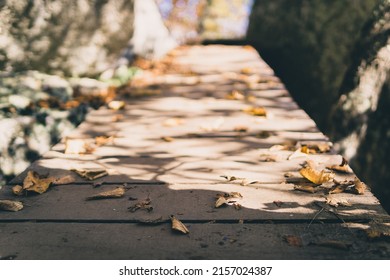 A Shallow Focus Shot Of A Sunny Park Path Dry Autumn Leaves With Blurred Background