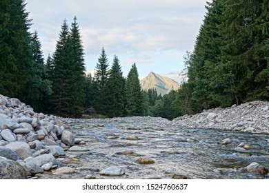 Shallow forest river, round stones and coniferous trees on both sides, mount Krivan peak (Symbol of Slovakia) with afternoon clouds in distance