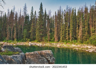 The Shallow Of Horseshoe Lake.  