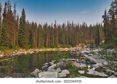 The Shallow Of Horseshoe Lake.  