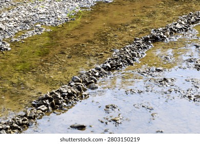 A shallow mountain river or forest stream flows through a rocky bed with a small pebble dam. The natural landscape showcases clear water, wet stones, and a muddy bottom, creating an atmosphere of tranquility, summer relaxation, and wildlife.