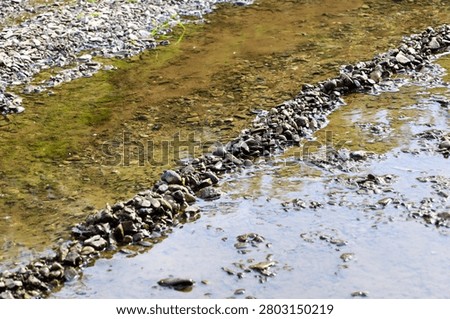 A shallow mountain river or forest stream flows through a rocky bed with a small pebble dam. The natural landscape showcases clear water, wet stones, and a muddy bottom, creating an atmosphere of tranquility, summer relaxation, and wildlife.