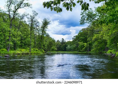 Shallow river flowing into the distance with vibrant green riverbanks. - Shutterstock ID 2246098971