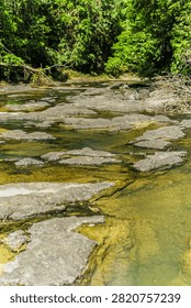 Shallow river with large flat rocks, flowing through a lush tropical forest. Sunshine illuminates the clear water.