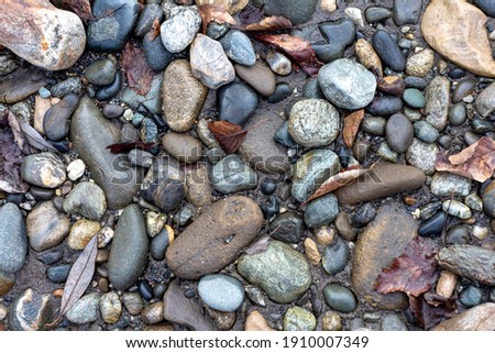 A shallow river, a rocky bottom with a dry riverbed against the background of autumn weather in nature and small pebbles.