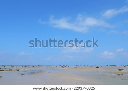 Shallow sea and blue sky landscape