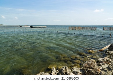 Shallow Sea With Prawn Fishing Boats, Nothern Sri Lanka