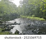 A shallow, stony portion of the Willimantic River in Connecticut