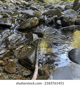 A Shallow Stream Of Water Running Through Rocks