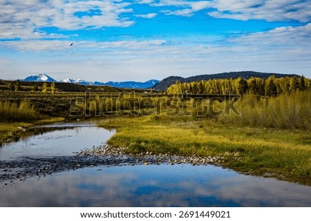  A shallow stream winds through the grassy springtime valley with snowcapped peaks in the distance and a single bird in flight, Grand Teton National Park, Wyoming, USA.
