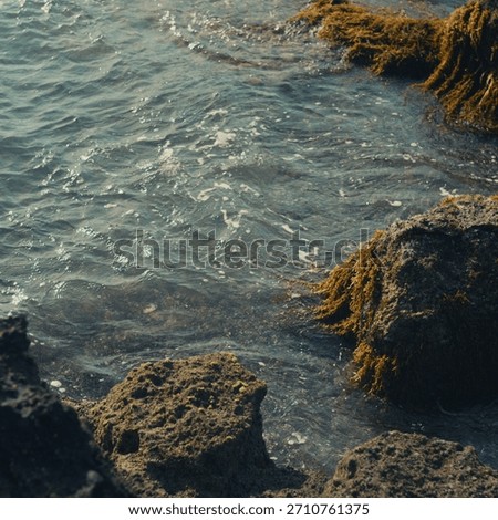 Shallow water running between rough shoreline rocks on Japan’s coast.