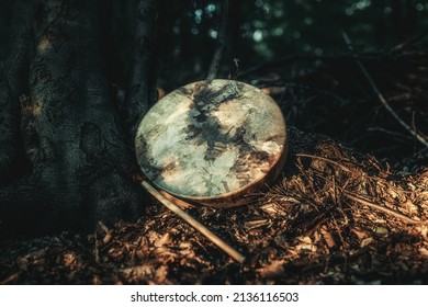 Shaman Drum In Forest On Tree.