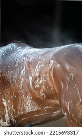 Shampooing A Horse Or Horse Bathing Close Up Of Horses Middle And Back With Shampoo Soap Suds Bay Horse Being Bathed Or Washed With Shampoo Outside In The Daytime Vertical Format With Room For Type 