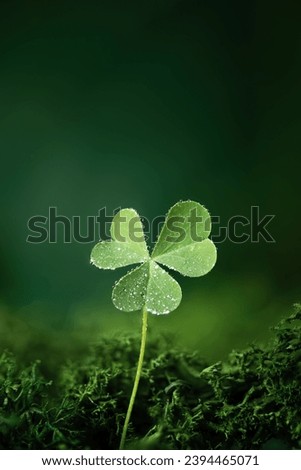 Shamrock leaf in a forest. St. Patrick's holiday greeting card. Three-leaved clover leaf as a symbol of st. Patrick's day. 