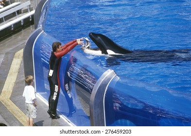 Shamu Stadium, Sea World, San Diego, CA