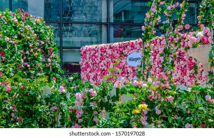 Shanghai, China, August 5, 2016 Häagen-Dazs Ice Cream Logo Under Pink Roses Arrangement