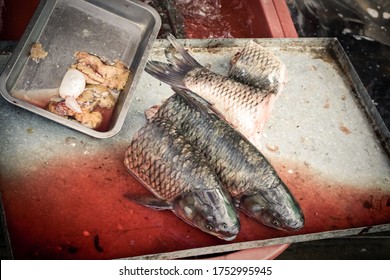 Shanghai China Livestock Farmers Seafood Market