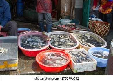 Shanghai China Livestock Farmers Seafood Market