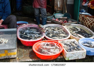 Shanghai In China Street Wet Market Selling Live Fish In Trays And Baskets To Chinese Customers