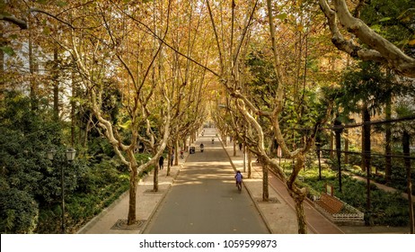 Shanghai, Yangpu District, Alley In October.