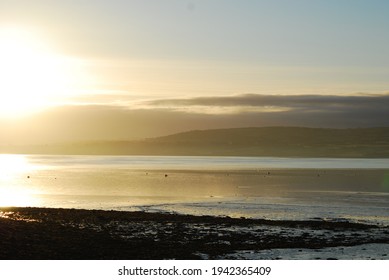 Shannon Estuary At Sunset Vista