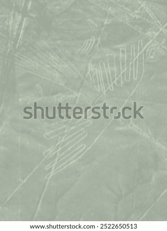 Shape of a condor, Nazca lines