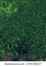 Shape of grass like chuckles
