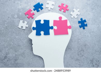 The shape of a human head with different types of gender identity puzzles. Sexual education and awareness. Complexity of gender concept . High quality photo